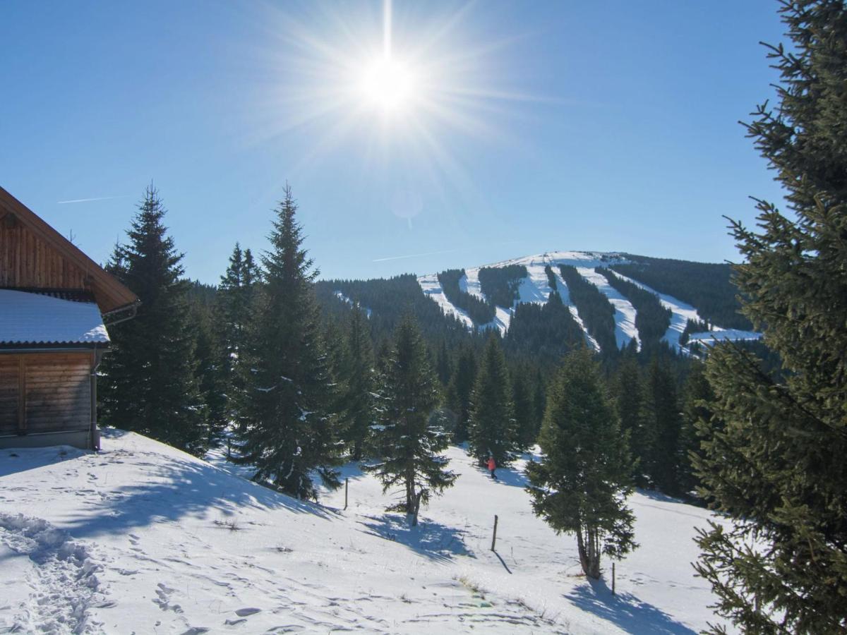Beautiful Holiday Home In Weinebene With Sauna Obergösel Esterno foto